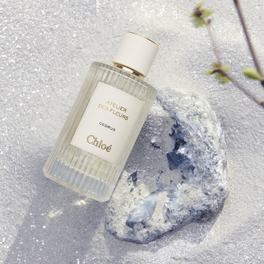 CHLOÉ クロエ: ウィメンズ | DFS グアム