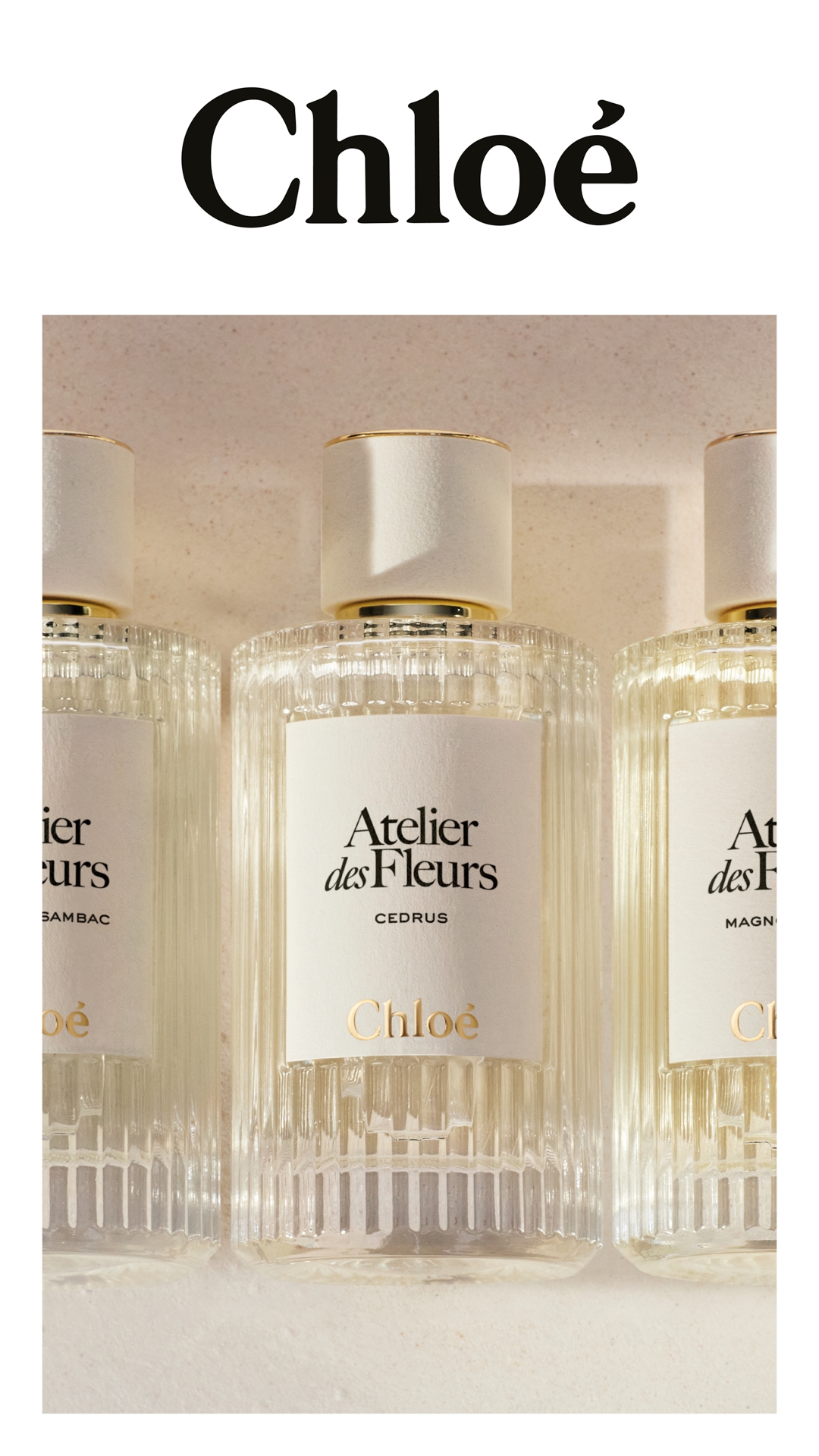 CHLOÉ クロエ: ウィメンズ | DFS 沖縄