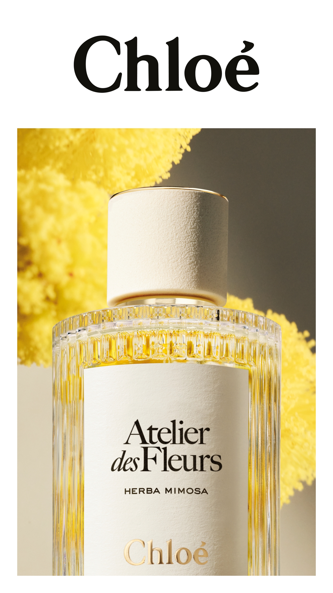 CHLOÉ クロエ: ウィメンズ | DFS 沖縄