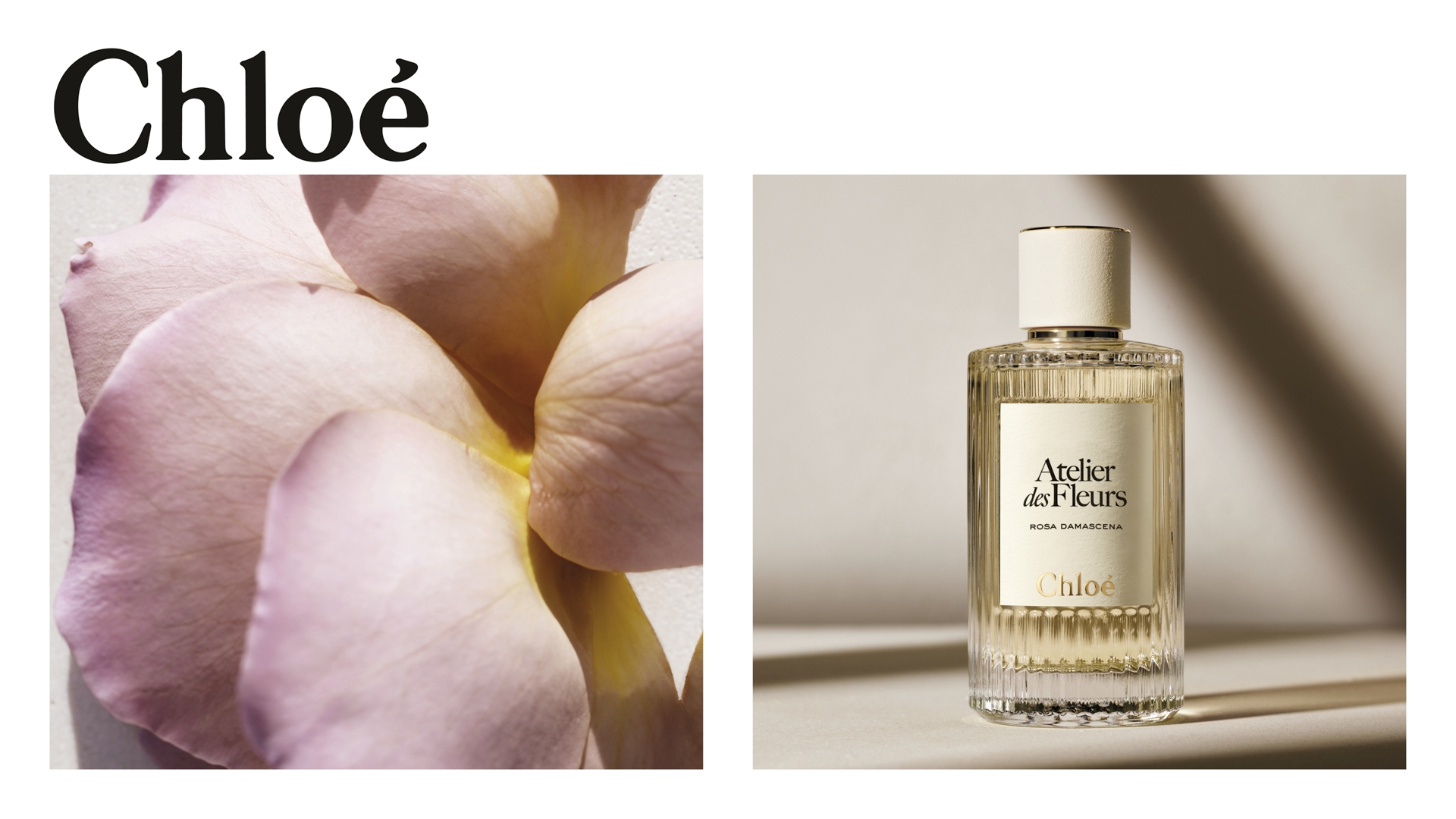 CHLOÉ クロエ: ウィメンズ | DFS 沖縄