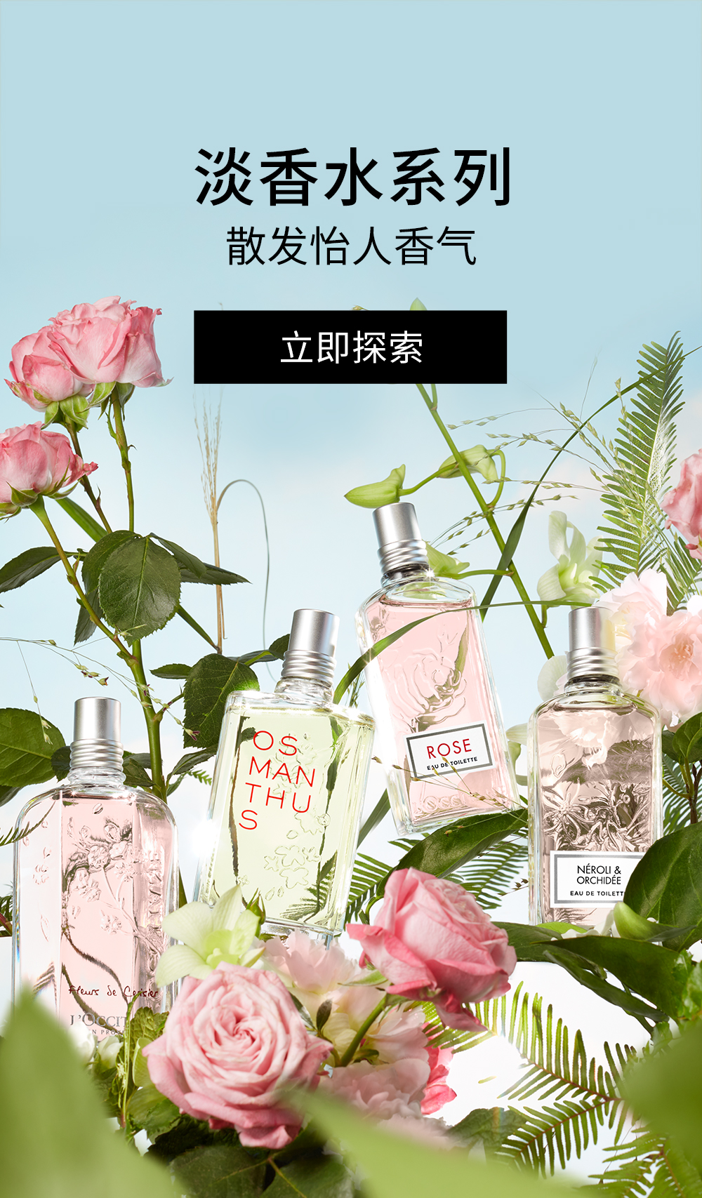 L'Occitane en Provence ロクシタン: ウィメンズ | DFS 沖縄