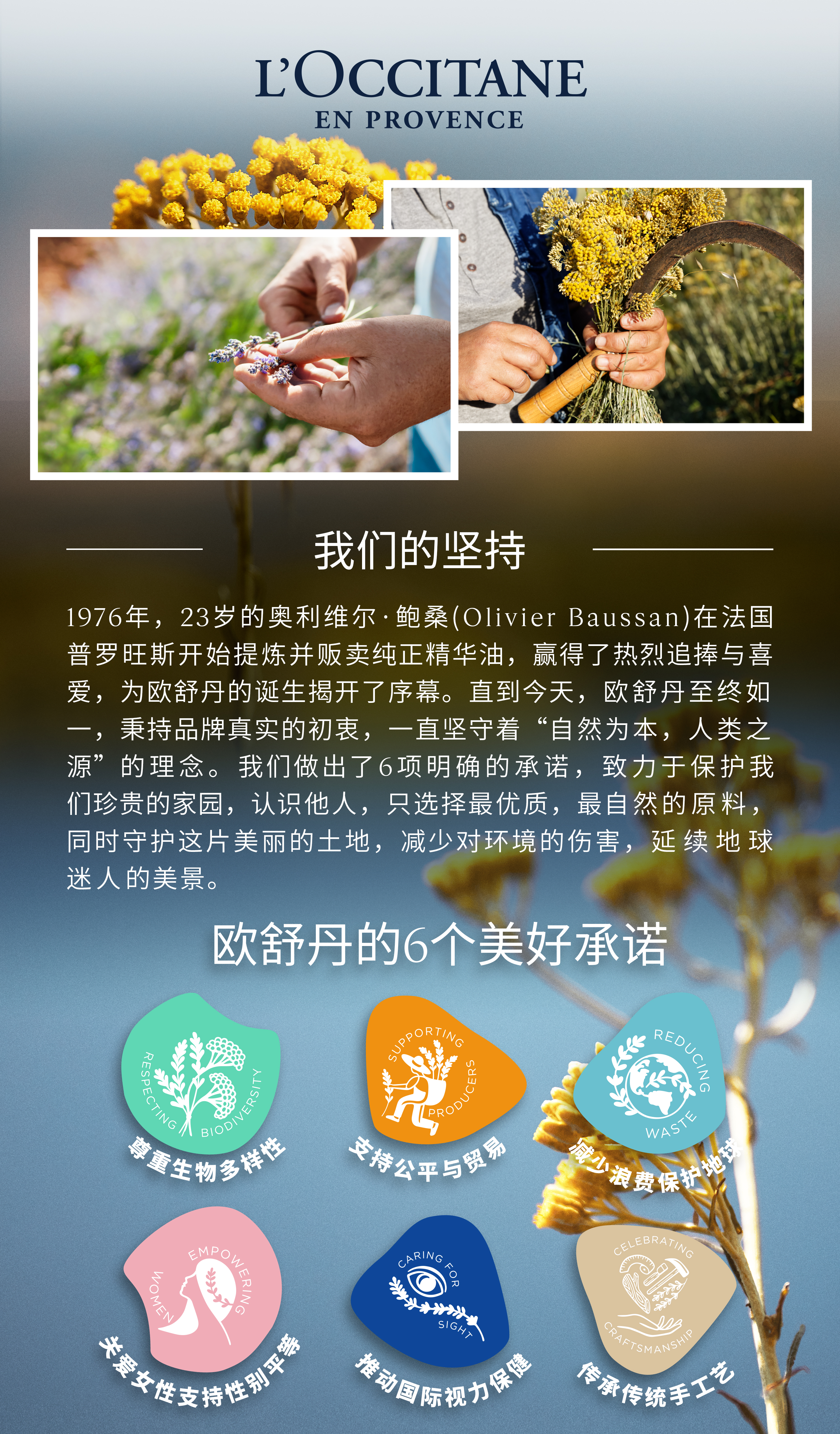 L'Occitane en Provence ロクシタン: ウィメンズ | DFS 沖縄