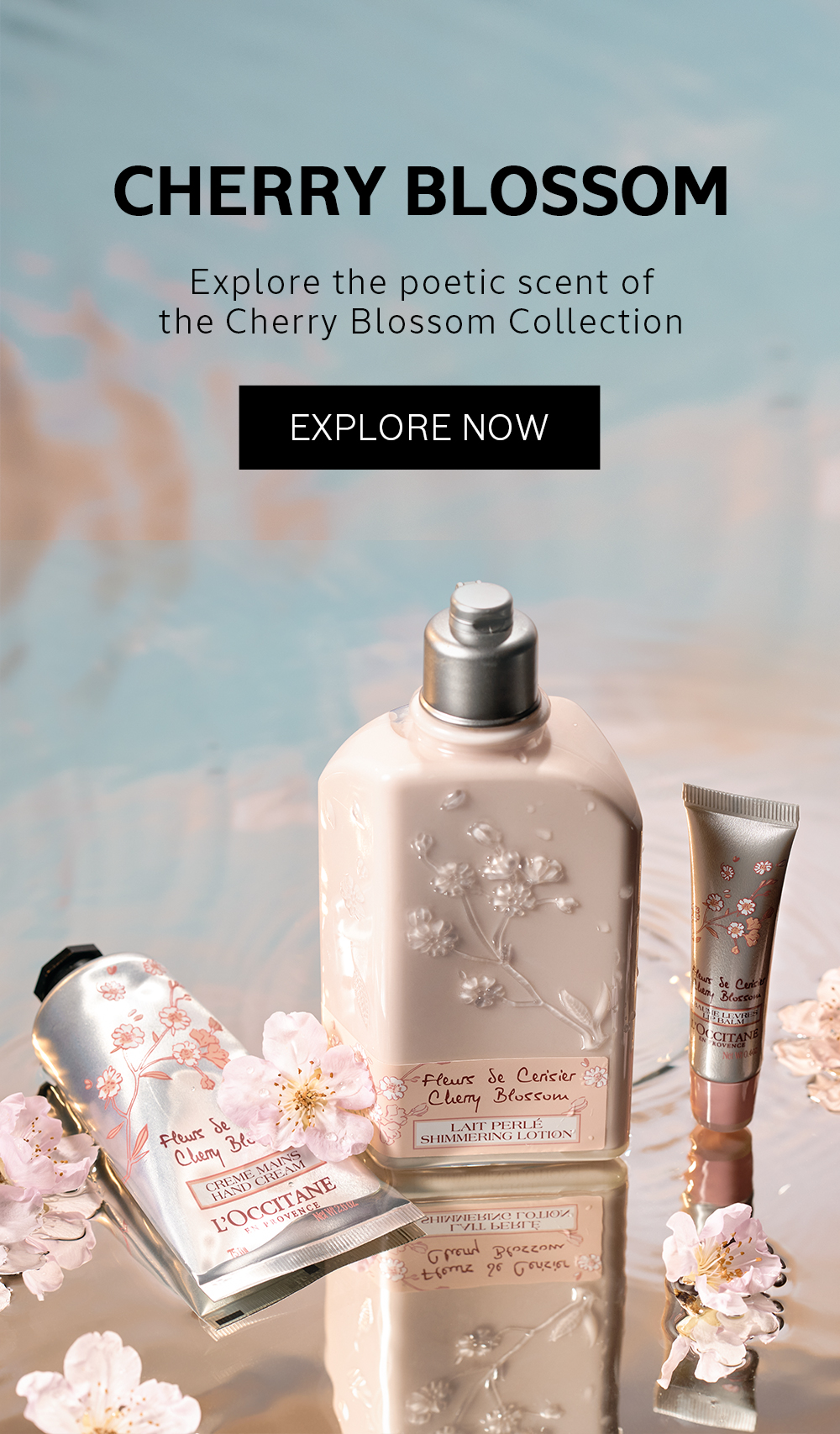 mshigeo1962ロクシタン mshigeo1962ロクシタン ロクシタン | L'OCCITANE 公式オンライン