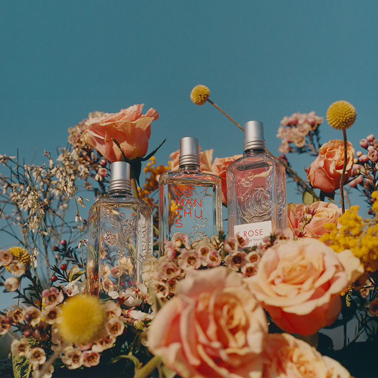 L'Occitane en Provence ロクシタン: ウィメンズ | DFS 沖縄