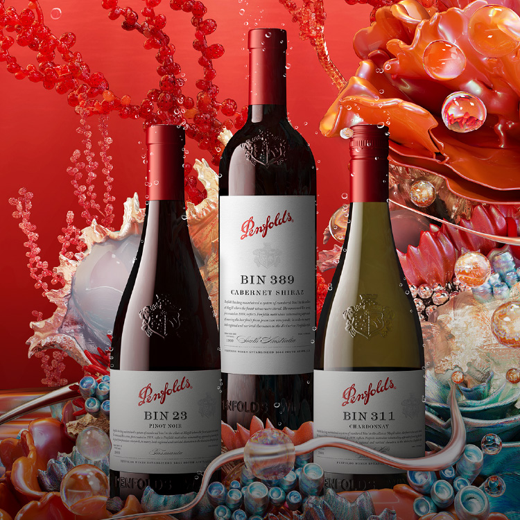Penfolds RWT Bin 798 Shiraz 2022 (Gift Boxed) | Kent Street